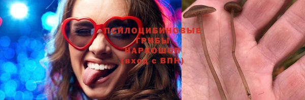 jwh Аркадак