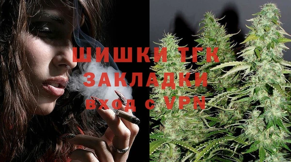 шишки Армянск