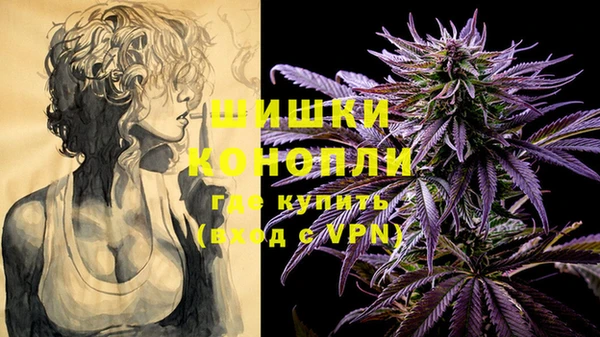 шишки Армянск