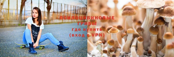 шишки Армянск