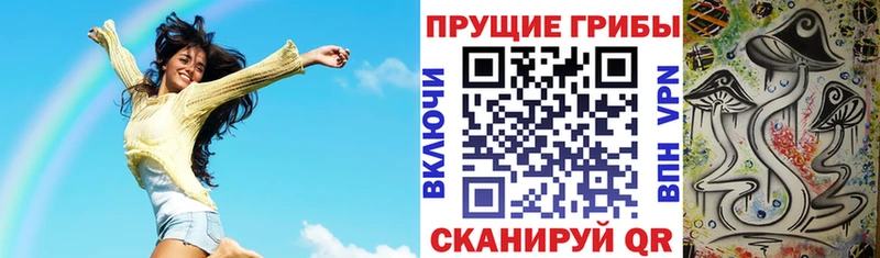 гидра как зайти  Усолье  Псилоцибиновые грибы Psilocybe 